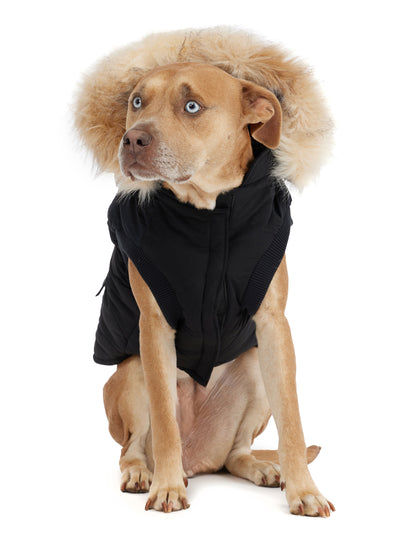 Zeus manteau pour chiens avec contour en fausse fourrure