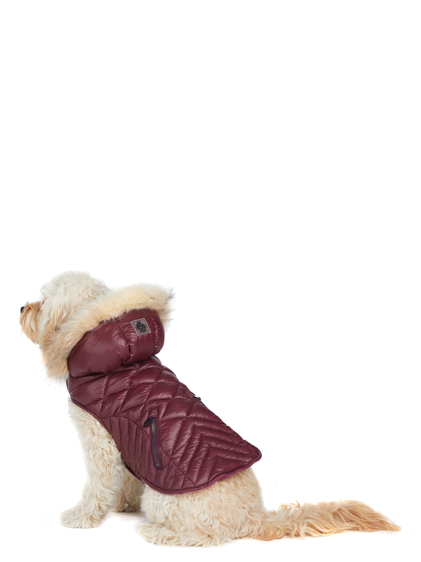 Zola manteau pour chiens avec contour en fausse fourrure