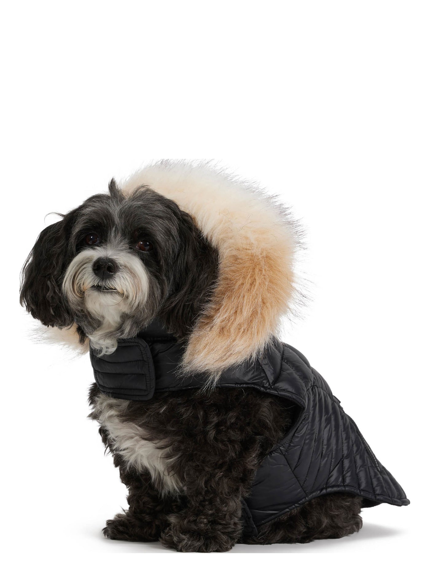Zola manteau pour chiens avec contour en fausse fourrure