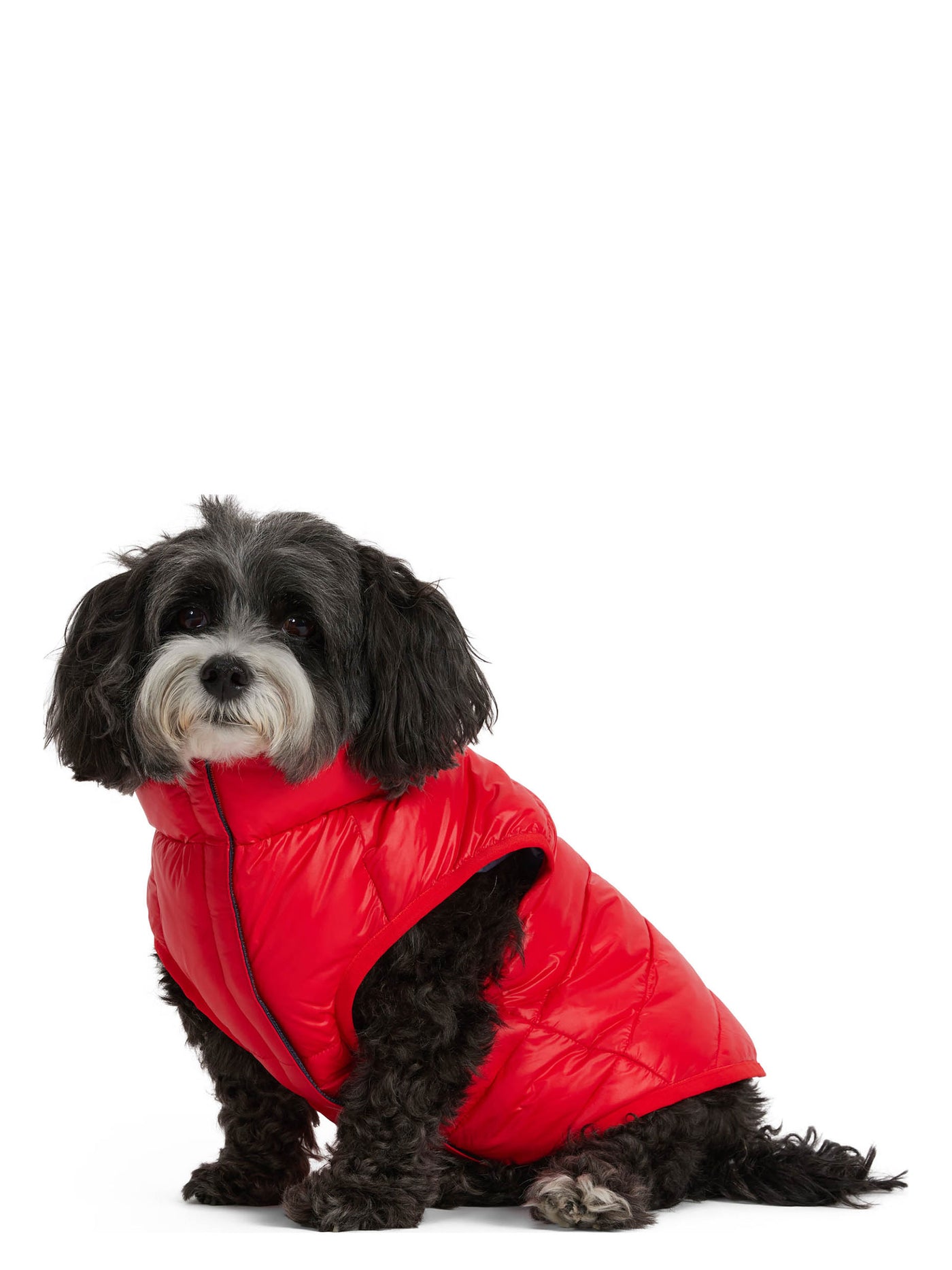 Cora manteau réversible et compressible pour chiens