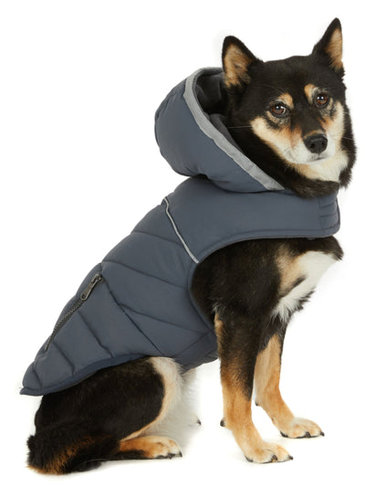 Denver manteau pour chiens