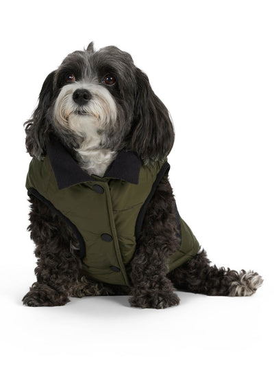 Beau manteau avec attache de laisse pour chiens