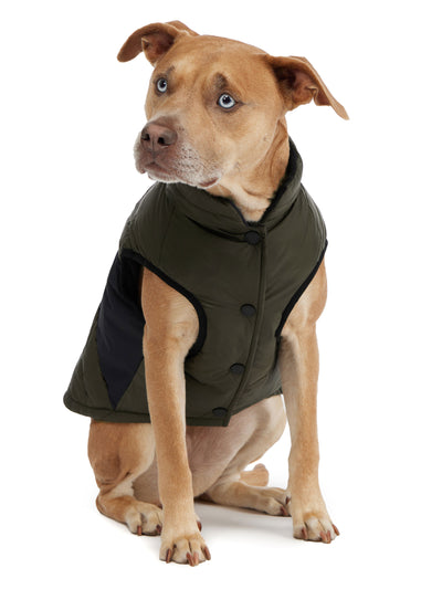 Beau manteau avec attache de laisse pour chiens