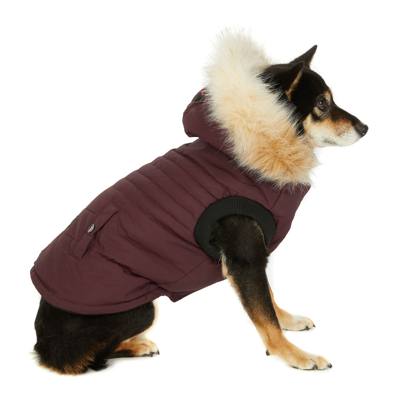 Toby manteau pour chiens