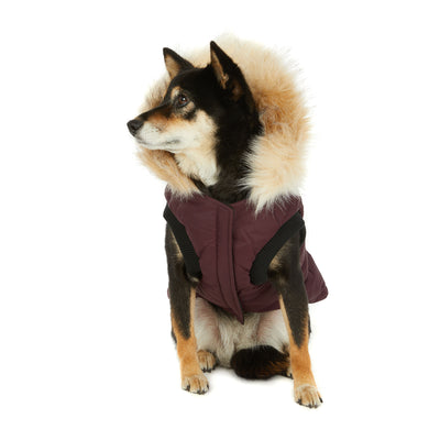 Toby manteau pour chiens