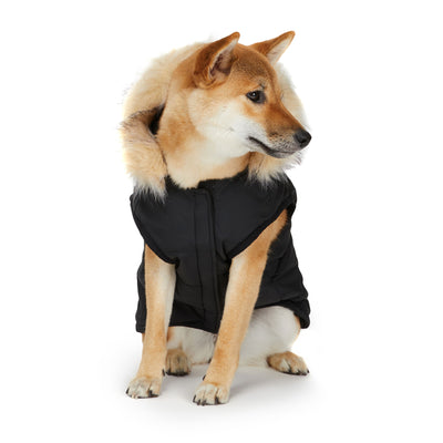 Barnard manteau pour chiens