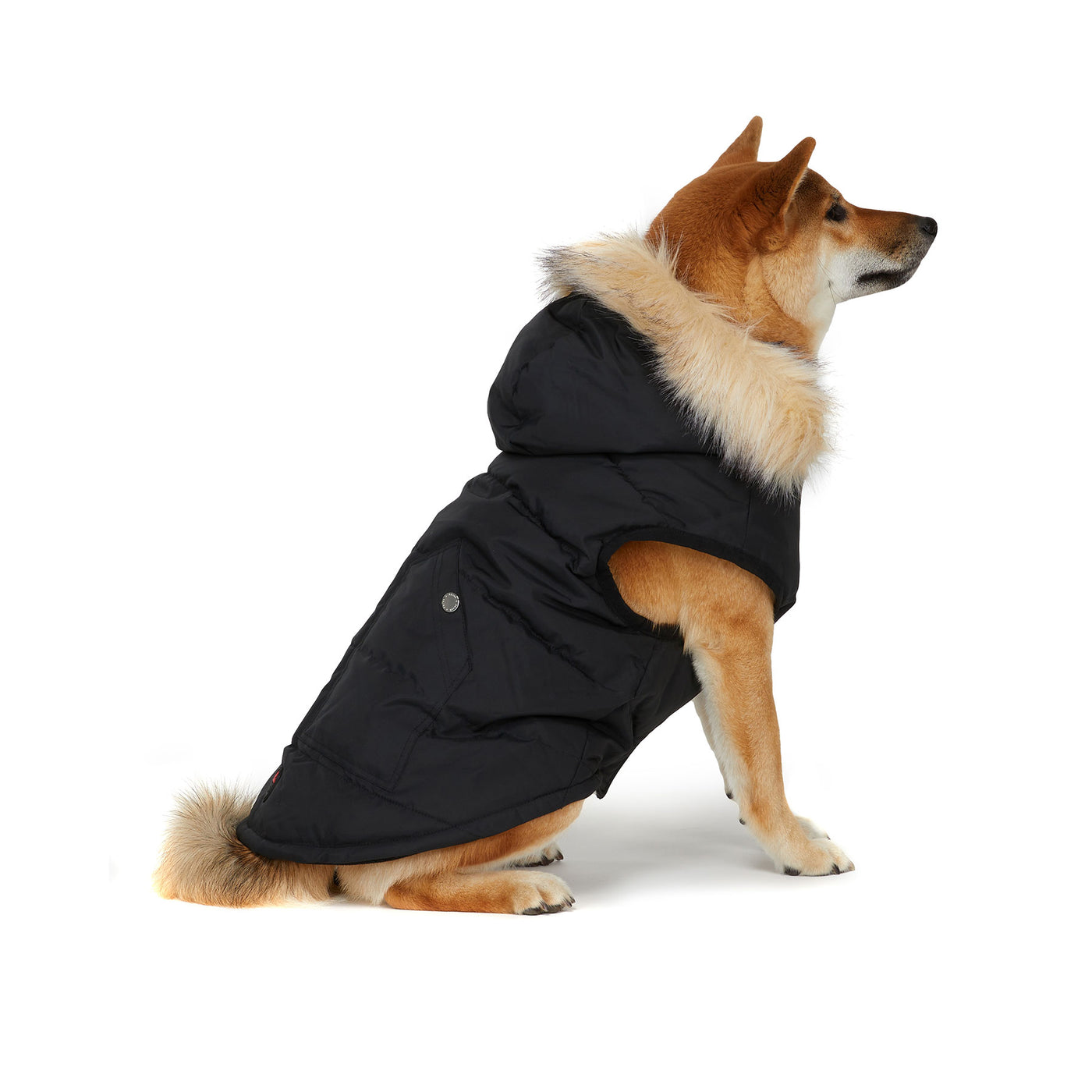 Barnard manteau pour chiens