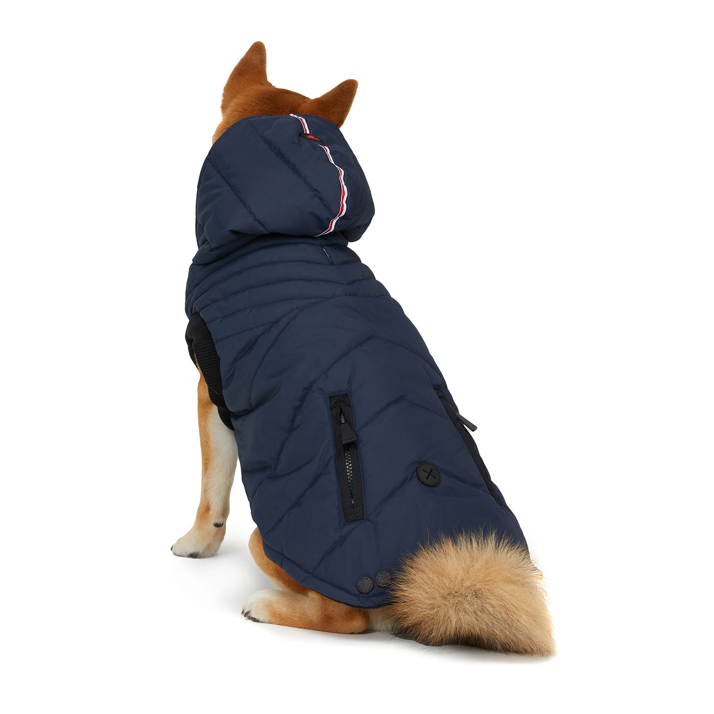 Birch manteau pour chiens