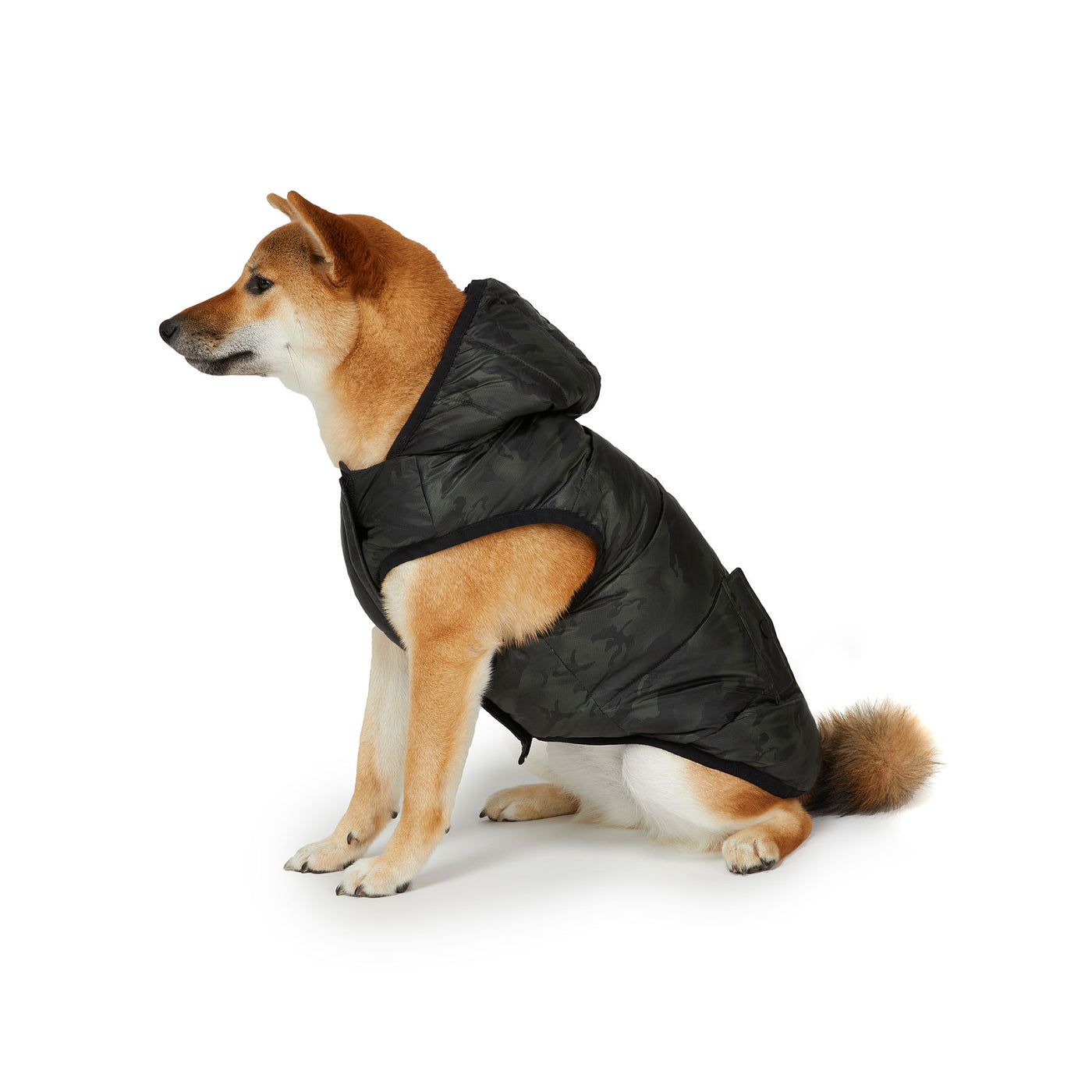 Duff manteau réversible pour chiens