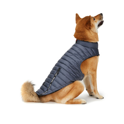Spencer manteau pour chiens