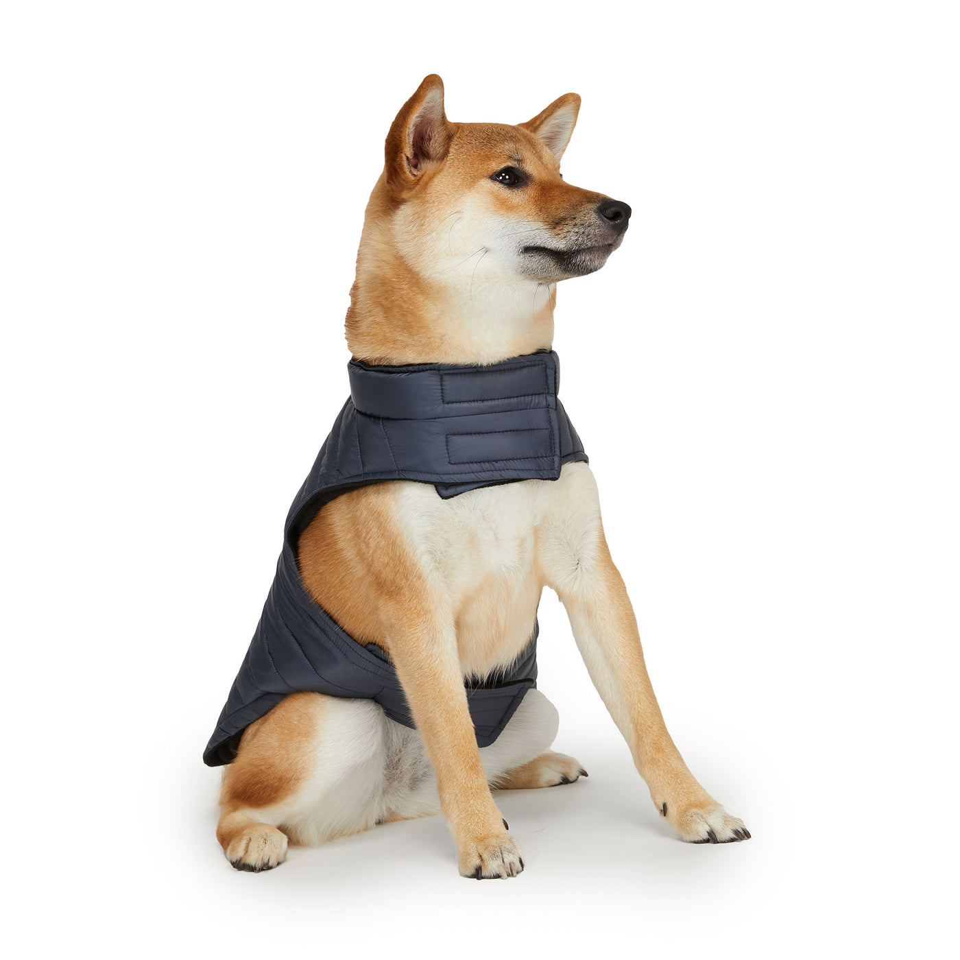 Spencer manteau pour chiens