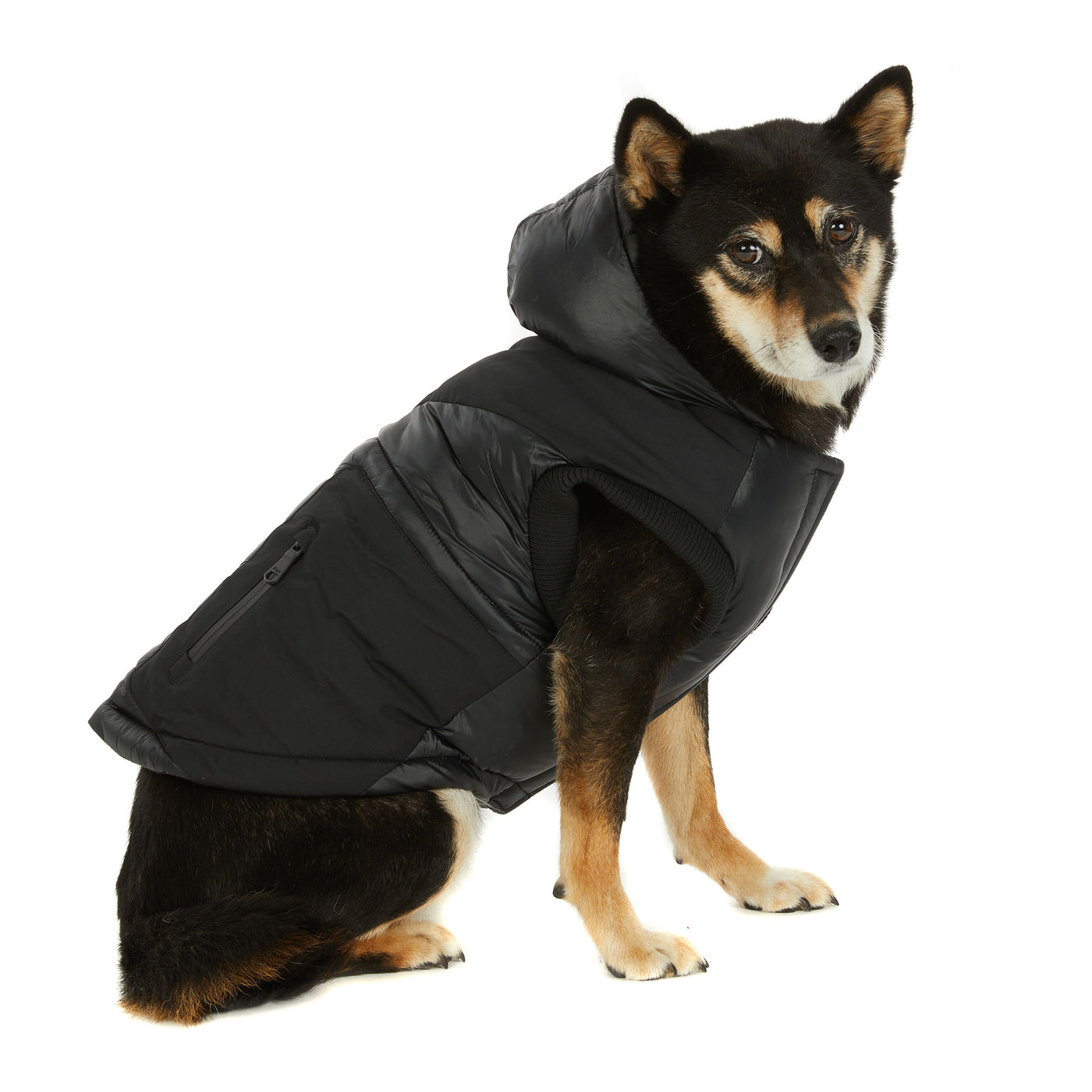 Mattie manteau pour chiens