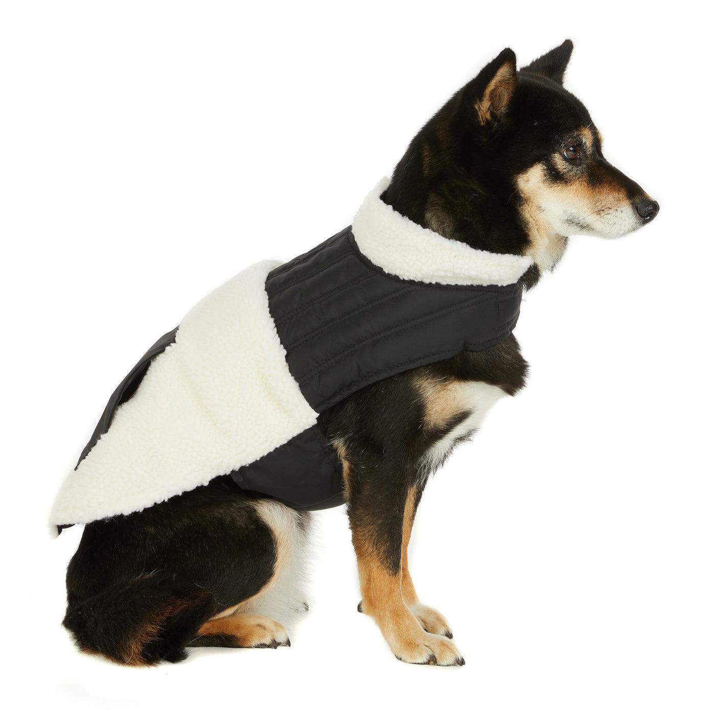 Shiloh veste mixte pour chiens